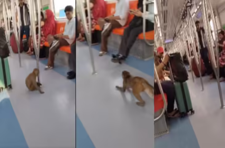 Viral Video: मेट्रो में घुसा शरारती बंदर, लड़की के पास जाकर बैठा और करने लगा Kiss, यूजर्स बोले - 'ये तो ठरकी लगता है....'&nbsp;