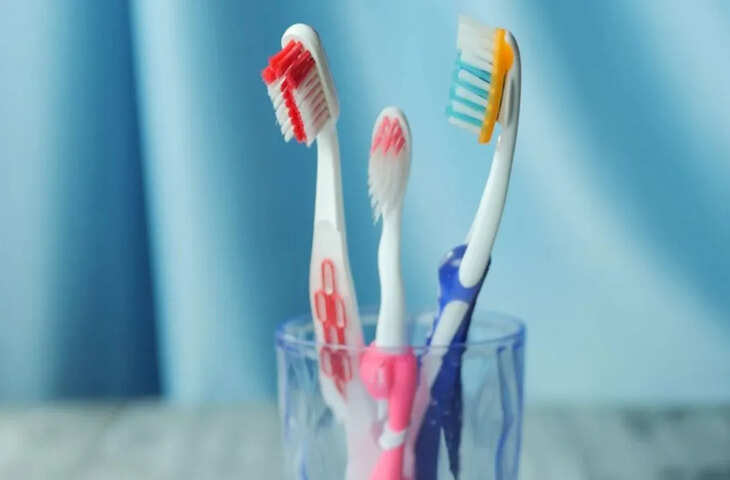 कभी सोचा है टूथब्रश के ब्रिसल्स में 2 रंग क्यों होते हैं, जवाब सुन​कर हक्के-बक्के रह जाएंगे, चाहे तो शर्त लगा लें