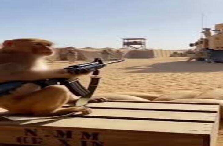 Video Viral: सैनिक जंग की तैयारी में लगे थे, पीछे से बंदर ने लॉन्च कर दी मिसाइल, देखकर हंस पड़ा इंटरनेट