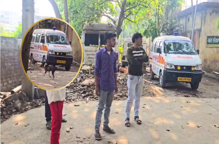 बेगूसराय सदर अस्पताल में शर्मनाक लापरवाही: पोस्टमार्टम रूम से शव का पैर लेकर भागा कुत्ता, वीडियो वायरल