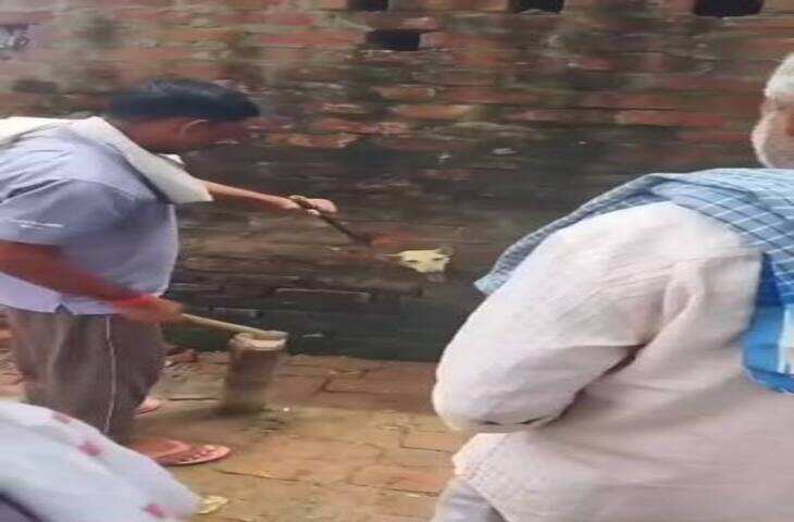 दीवार के छेद में अटक गई कुत्ते की गर्दन! लोगों ने दिखाई इंसानियत, जान बचाने का Video हुआ वायरल