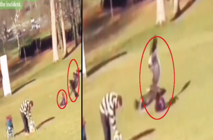 बाज ने कर दिया बच्चे पर हमला, पंजों में दबाकर लगा उड़ने, देखिए फिर क्या हुआ