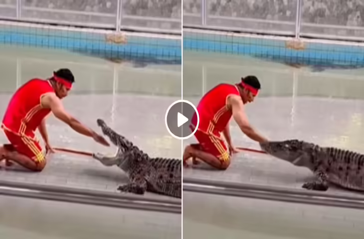 Viral Video : शख्स ने मगरमच्छ के मुंह में डाला हाथ, अगले ही पल हुआ कुछ ऐसा देखकर मुंह में आ जाएगा कलेजा&nbsp;