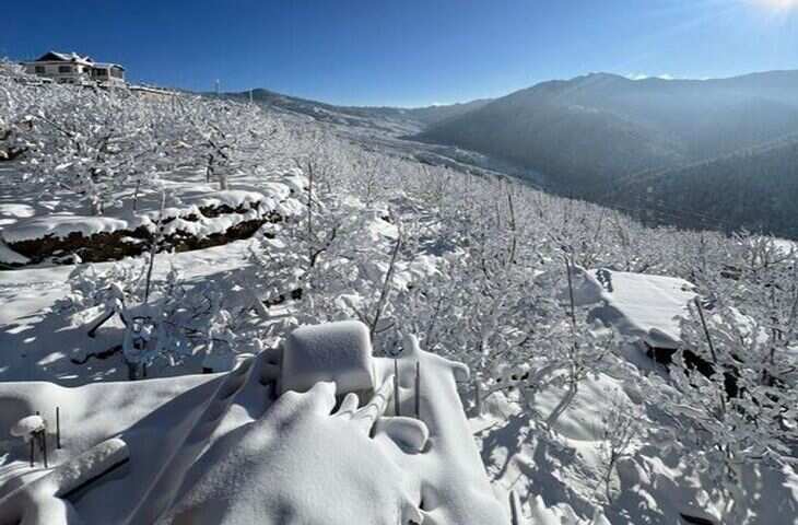 मार्च आते ही बर्फ से नहाया मनाली, कुफरी