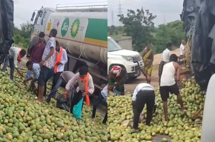 ट्रक हादसे के बाद आम लूटने की मच गई होड़, सड़क पर दिखा चौंकाने वाला नजारा, Video वायरल