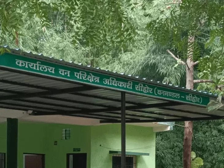 सीहोर में रेंज ऑफिस परिसर में पेड़ों की हरी डालियों की कटाई, वन विभाग के अधिकारियों की भूमिका पर उठे सवाल