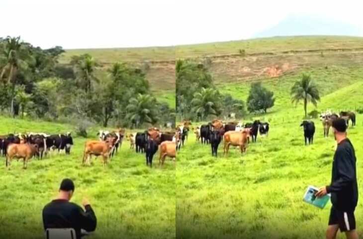 खेत बना क्लासरूम...मास्टर जी बनकर यूं लगाई गायों की हाजिरी, रिस्पांस देख छूट जाएगी हंसी