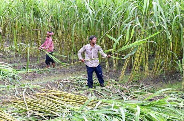 UP Farmer Scholarship: किसानों के बच्चों को पढ़ाई के लिए हर महीने मिलेंगे 5 हजार रुपये, जानें पात्रता और आवेदन