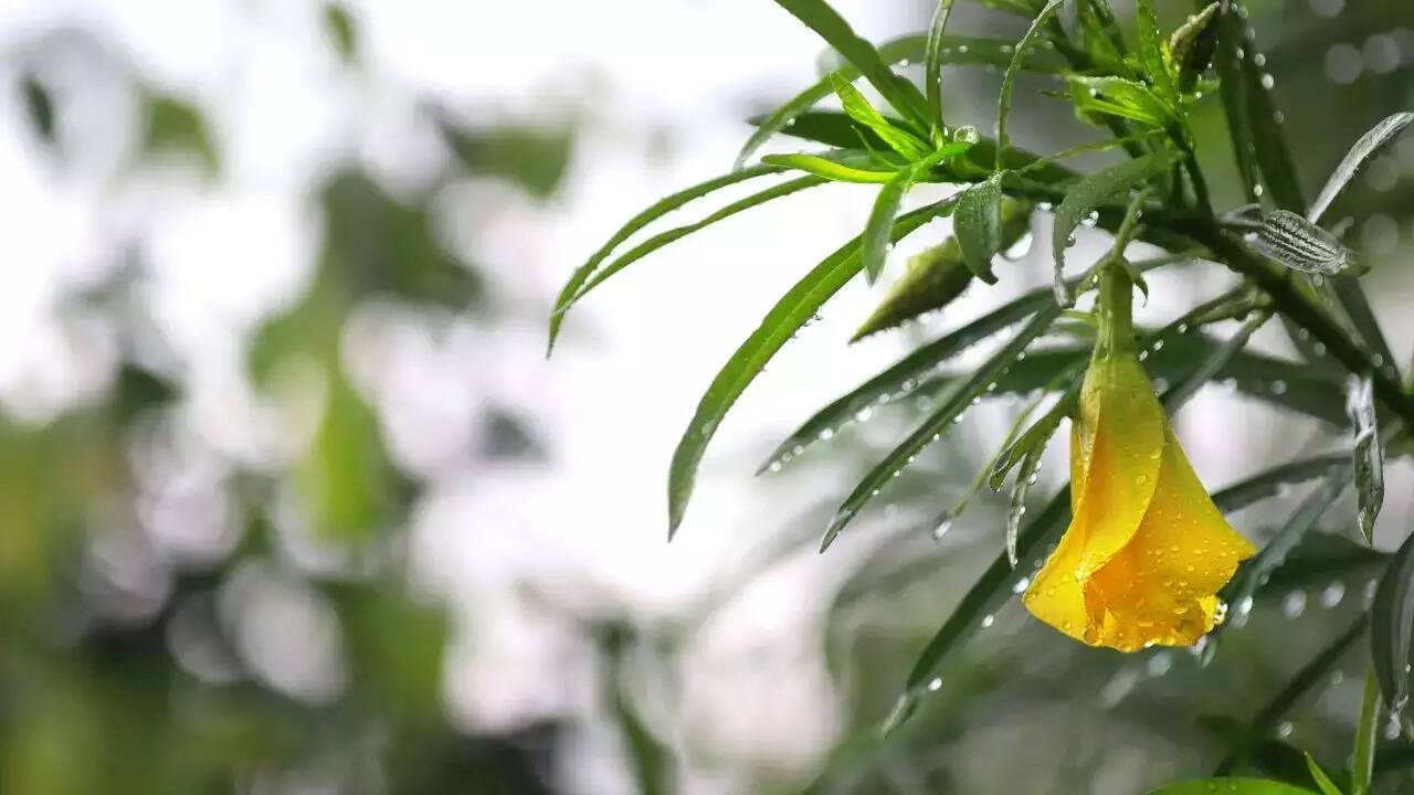 Astro tips for money 