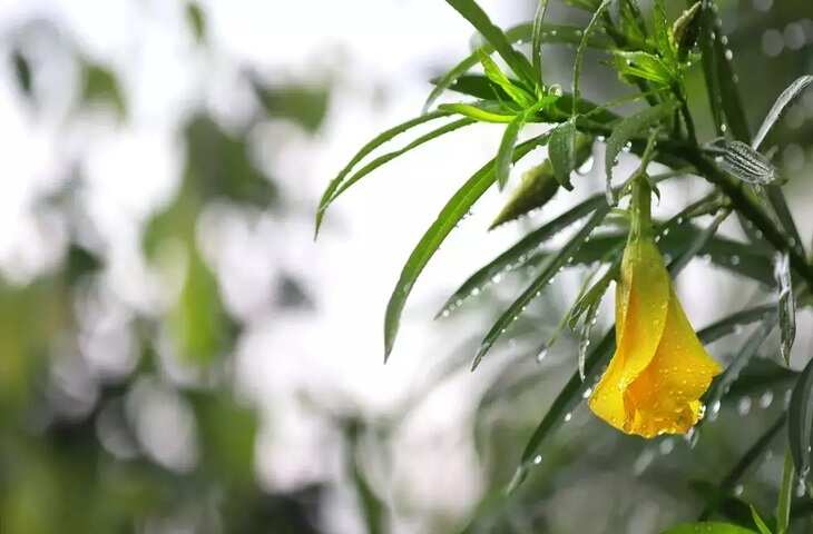 Astro tips for money 