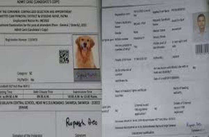 बिहार में सरकारी नौकरी एडमिट कार्ड में हुई अजीब गलती: अभ्यर्थी की जगह कुत्ते की फोटो