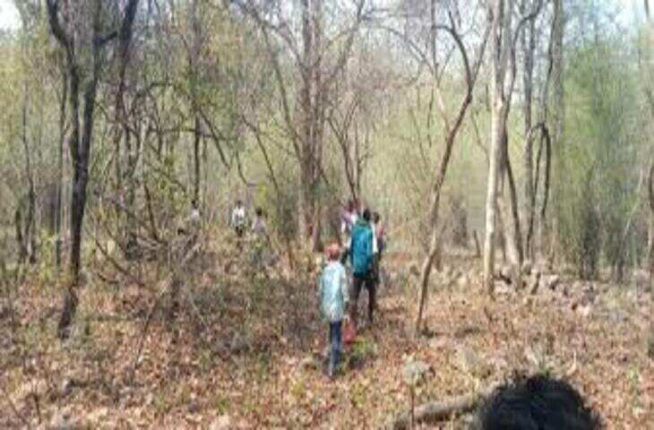 मानसून में वन विभाग की जंगल सैर, नाइट स्टे और सफारी का आयोजन