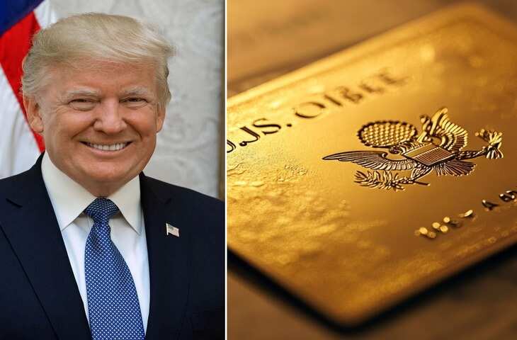 अमेरिका में रहने के लिए चुकानी होगी 9 करोड़ की कीमत! जानिए क्या है ट्रम्प का Gold Card वीजा प्लान ? कैसे करे आवेदन 