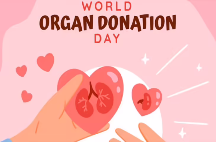 प्रदेश में अंगदान से जिंदगी की नई किरणें: 350 लोगों को मिली आंखों की रोशनी, 23 की लीवर बीमारी से छुटकारा