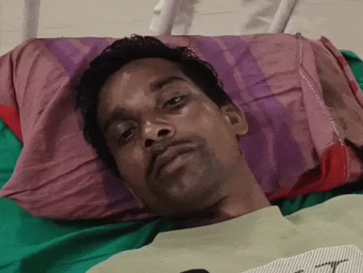 उमरिया में शावक के साथ घूम रही बाघिन ने चरवाहे पर किया हमला, भैंसों ने दौड़कर बचाई जान