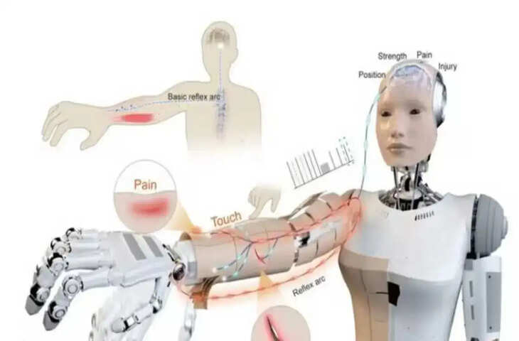 रोबोट भी महसूस करेंगे दर्द! क्या है&nbsp;E-Skin तकनीक और यह कैसे करती है काम&nbsp;