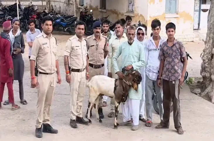 ईद की नमाज पढ़ने गया था परिवार, पीछे से चोर ले उड़ा बकरा; दमोह पुलिस ने कुछ घंटों में किया बरामद