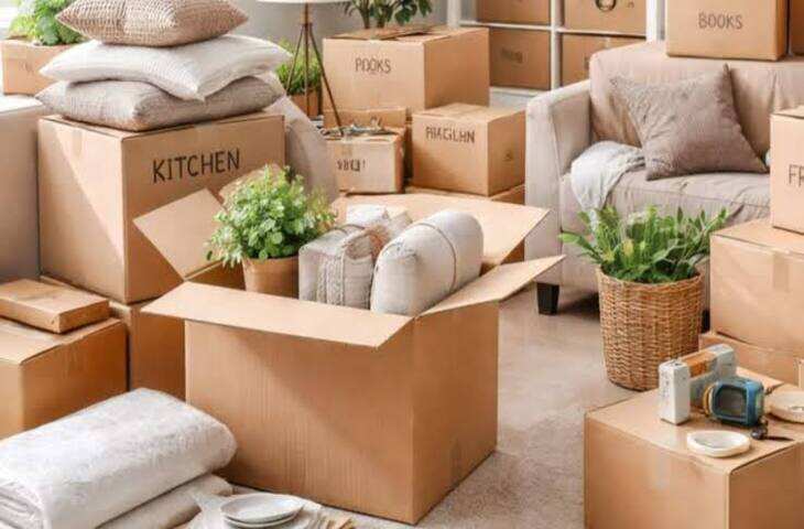 Cardboard Box Hacks: डिलीवरी के खाली डिब्बों से बनाएं काम की चीज़ें, जानें 3 शानदार तरीके