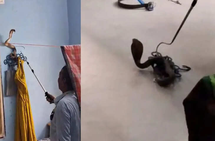 बेडरूम में घुसा जहरीला सांप, कपड़े टांगने वाली खूंटी पर बैठा देख दहशत में आए लोग