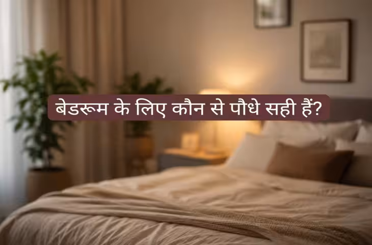 Vastu Tips: बेडरूम में कौन से पौधे लगाने चाहिए?