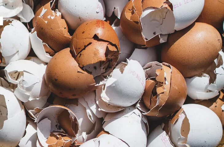 Eggshell Concrete: क्या अंडे के छिलके से मजबूत होगी इमारतें? जानें वैज्ञानिकों की नई खोज