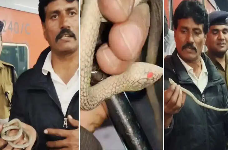 ट्रेन के एसी कोच में सांप की दहशत, जांच में निकला रबर का खिलौना