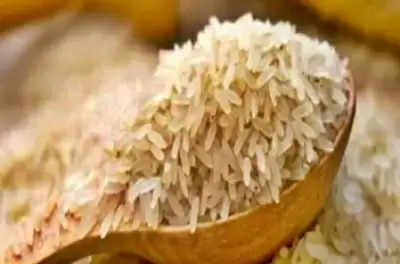 केंद्र सरकार ने टूटे चावल के Export पर प्रतिबंध लगाया, जानें क्यों ?