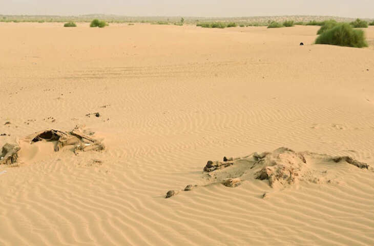 राजस्थान में मार्च की शुरुआत में गर्मी की बढ़ती तपिश, अधिकतम तापमान 35 डिग्री के पार