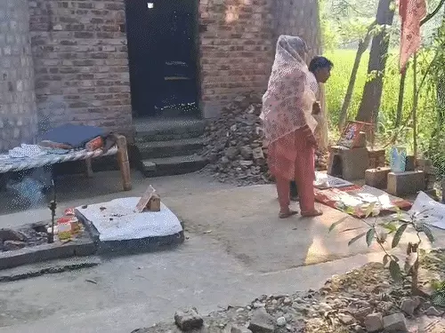 सहारनपुर में आवारा कुत्तों का हमला, 12 साल के बच्चे की मौत; प्रसाद चढ़ाने मां के साथ आया था