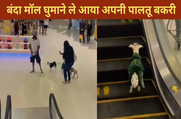 ये तो गजब हो गया, डायपर पहनाकर बकरी को मॉल घुमाने लाया शख्स, देखें मजेदार VIDEO