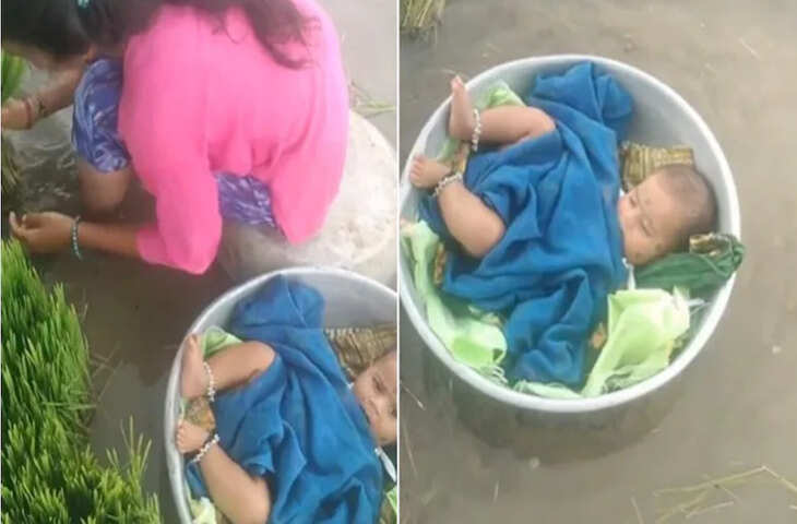 पानी भरे खेत में तसले में लेटी खेल रही नन्ही परी, सोशल मीडिया पर वायरल हुआ दिल छू लेने वाला वीडियो