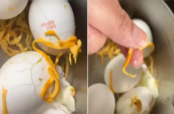 उबले अंडों से निकला प्लास्टिक, वीडियो वायरल होने के बाद कंपनी ने दी सफाई