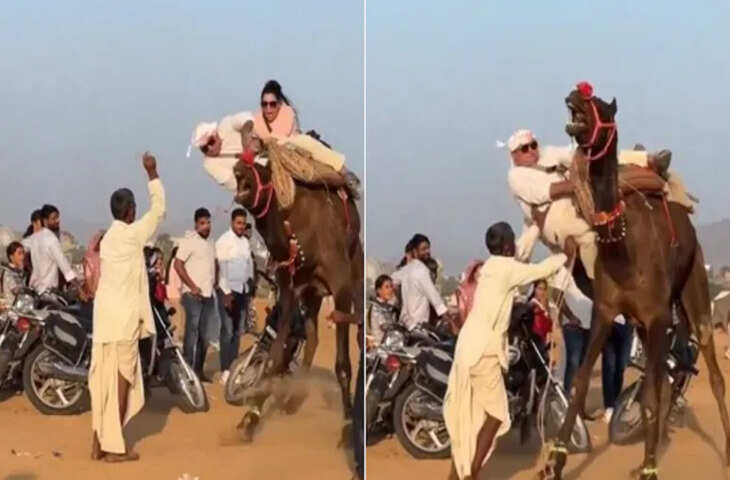 बड़े शौक से ऊंट की सवारी करने चला कपल, बैठते ही जानवर ने ऐसे उछाला, पति-पत्नी के साथ फिर जो हुआ, सहम गए लोग 
