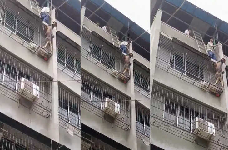 छत से लटकते बकरे को देख जमा हो गई भीड़, अनोखे अंदाज में किया गया रेस्क्यू, देखें Viral Video