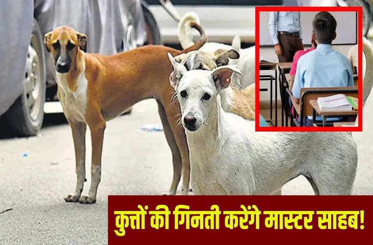 &lsquo;अब कुत्ते गिनना ही बाकी था&rsquo;&hellip; बाराबंकी में सरकारी टीचरों पर एक और जिम्मेदारी, जानें क्या बोले मास्टर साहब