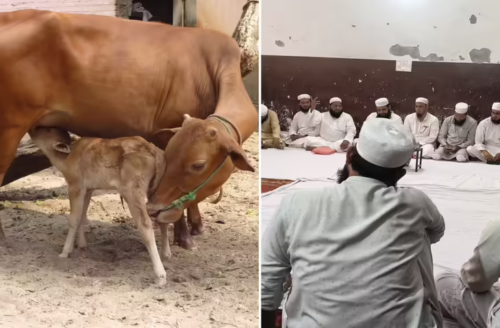 उत्तराखंड में मुस्लिम समुदाय के एक प्रमुख संगठन जमीयत उलेमा ने एक नई सामाजिक पहल शुरू की है, जिसने चर्चा को जन्म दे दिया है। संगठन ने केंद्र सरकार से गाय को राष्ट्रीय पशु घोषित करने की मांग उठाई है। साथ ही बकरीद के मौके पर समुदाय के लोगों से विशेष सावधानी और सामाजिक संवेदनशीलता बनाए रखने की अपील भी की गई है।  संगठन के पदाधिकारियों का कहना है कि यह पहल समाज में आपसी सौहार्द और शांति बनाए रखने की दिशा में एक प्रयास है। उनका मानना है कि धार्मिक भावनाओं और सामाजिक परिस्थितियों को ध्यान में रखते हुए ऐसे कदम उठाए जाने चाहिए, जिससे किसी भी समुदाय की भावनाएं आहत न हों और सामाजिक तनाव की स्थिति उत्पन्न न हो।  अपनी अपील में जमीयत उलेमा ने बकरीद के दौरान पशु बलि को लेकर भी जिम्मेदारी से कार्य करने की बात कही है। संगठन ने कहा है कि सभी लोग नियमों और प्रशासनिक दिशा-निर्देशों का पालन करें तथा सार्वजनिक स्थानों पर किसी भी प्रकार की गतिविधि से बचें, जिससे विवाद की स्थिति पैदा हो।  संगठन ने यह भी कहा कि धार्मिक परंपराओं का पालन करते समय सामाजिक शांति और कानून व्यवस्था का सम्मान करना सभी की जिम्मेदारी है। इसी उद्देश्य से यह अपील जारी की गई है ताकि त्योहार शांतिपूर्ण और सौहार्दपूर्ण माहौल में संपन्न हो सके।  इस पहल के बाद सामाजिक और राजनीतिक हलकों में चर्चाएं तेज हो गई हैं। कुछ लोग इसे सामाजिक सद्भाव की दिशा में सकारात्मक कदम बता रहे हैं, जबकि कुछ इसे संवेदनशील और बहस योग्य विषय मान रहे हैं।  फिलहाल इस मामले पर प्रशासन की ओर से कोई आधिकारिक प्रतिक्रिया सामने नहीं आई है, लेकिन स्थानीय स्तर पर कानून व्यवस्था बनाए रखने के लिए निगरानी बढ़ा दी गई है।  कुल मिलाकर यह पहल सामाजिक समरसता और संवाद की दिशा में एक प्रयास के रूप में देखी जा रही है, हालांकि इस पर अलग-अलग राय भी सामने आने की संभावना है।