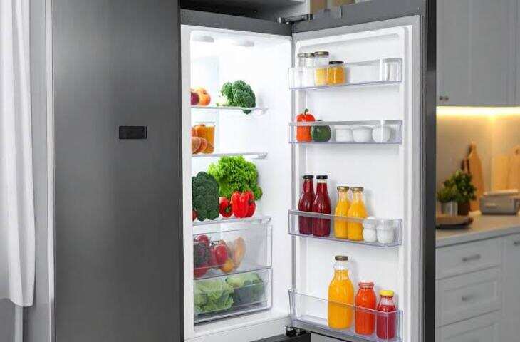 Fridge Electricity Saving Tips: फ्रिज में पानी की बोतल रखने से सच में घटेगा बिजली बिल? जानें सही तरीका