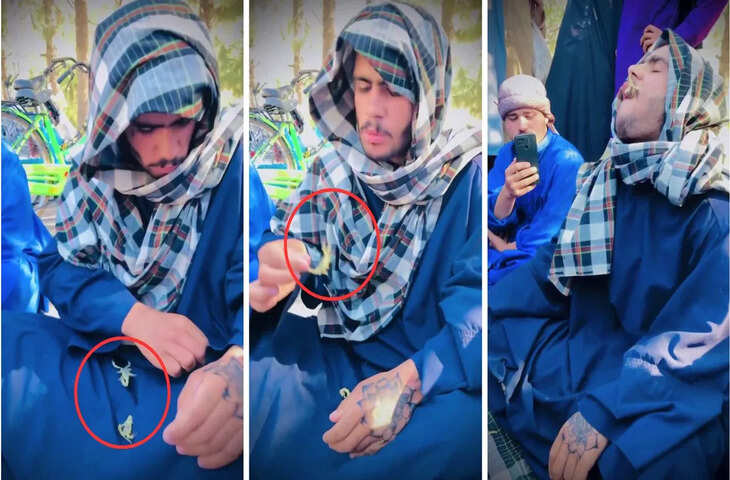 जिंदा बिच्छुओं को यूं चबा-चबाकर खा गया शख्स, Video देख भौचक्के रह गए लोग