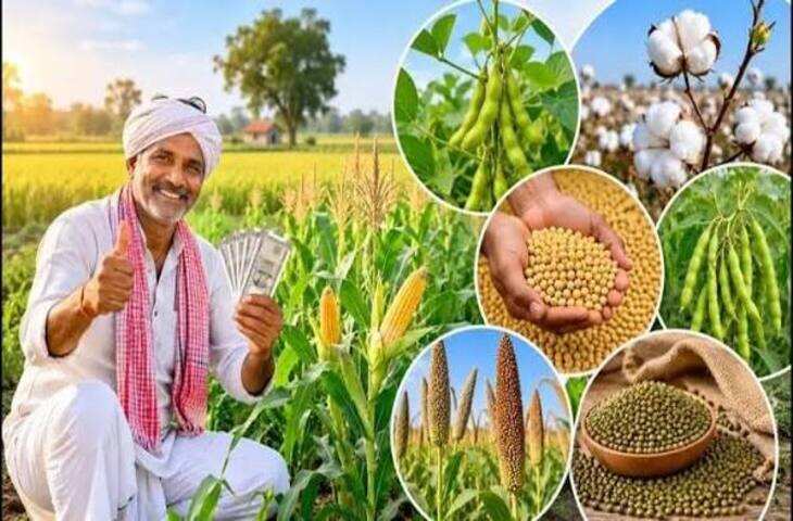Agriculture News: धान की जगह दूसरी फसल उगाने पर किसानों को मिलेंगे ₹15,000 प्रति एकड़, आज रजिस्ट्रेशन की आखिरी तारीख