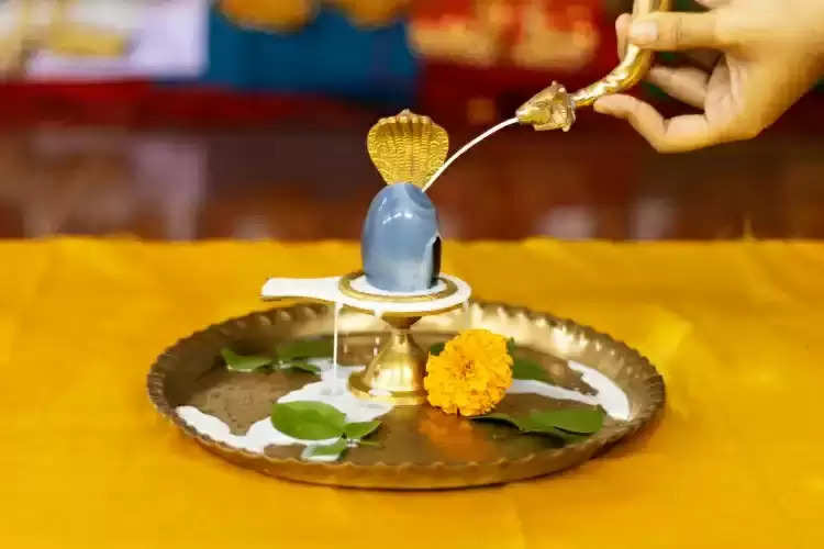 sawan month shivling puja worship parad shivling will make you rich and ger lord shiv ji blessings