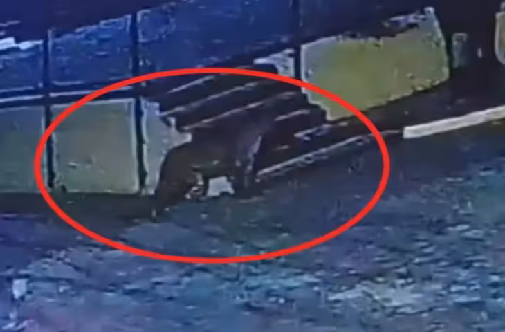वाराणसी के सेंट मेरी कॉन्वेंट स्कूल में दिखा तेंदुआ, VIP इलाके में मचा हड़कंप; आसपास होटल, मॉल और अफसरों के आवास