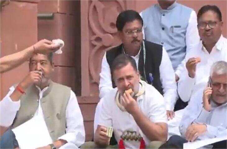 संसद में अनुशासन का उल्लंघन? राहुल गांधी सीढ़ियों पर चाय-बिस्किट खाने पर पूर्व सैनिकों ने की सार्वजनिक माफ़ी की मांग&nbsp;