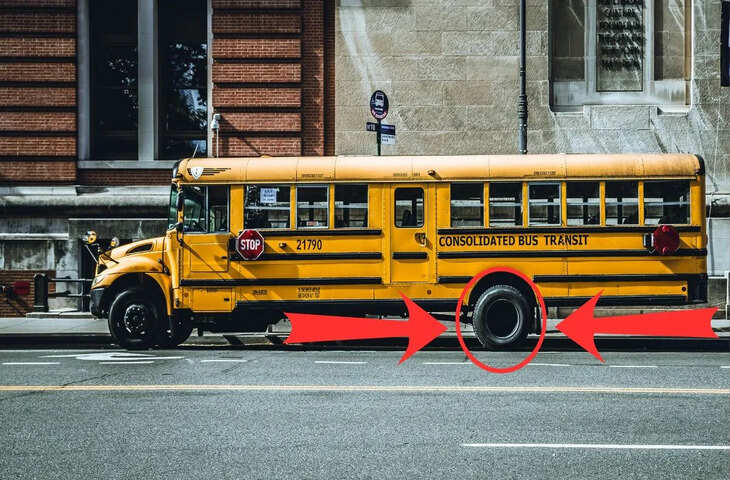 बस से जुड़ी ऐसी जानकारी जो आपके सोचने का तरीका बदल देगी