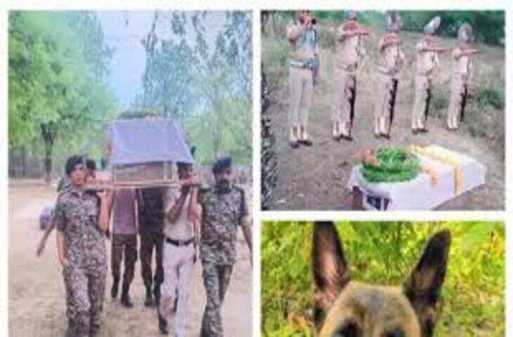 गार्ड ऑफ ऑनर के साथ हुआ सीआईडी डॉग जूली का अंतिम संस्कार, वीडियो में जानें 1000 से अधिक वीआईपी विजिट में निभाई भूमिका