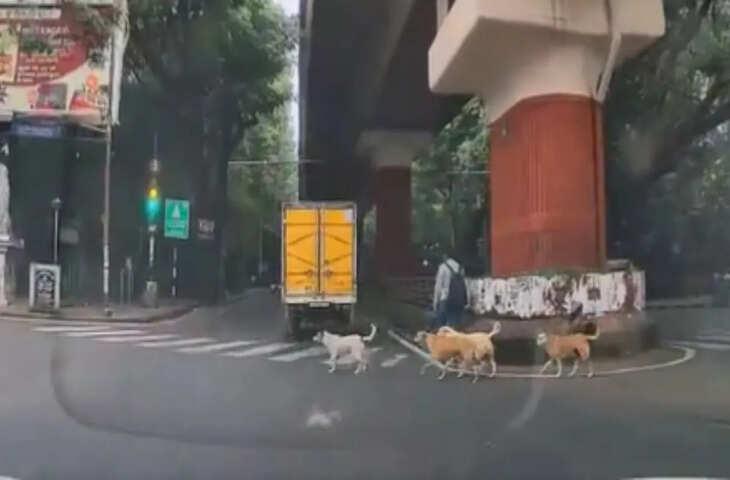 सोशल मीडिया पर छाया अनोखा वीडियो, लोगों ने किए जमकर कमेंट; वायरल क्लिप ने खींचा सबका ध्यान