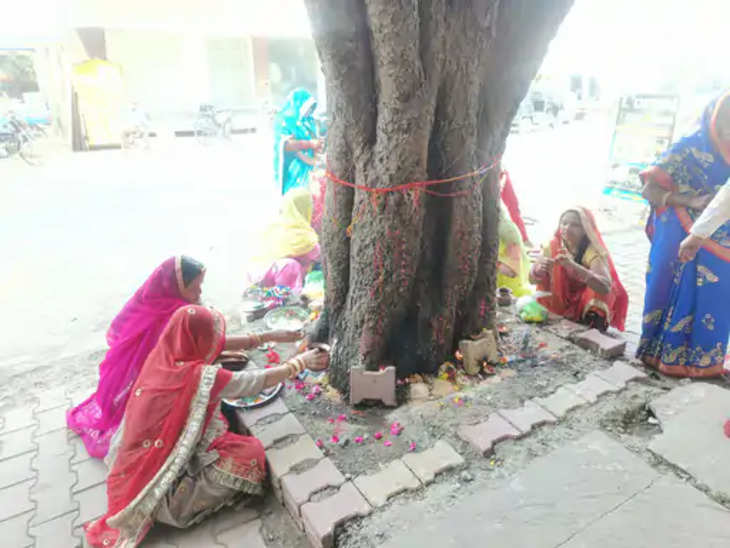 Kota विवाहित महिलाओं ने रखा पीपल दशमी का व्रत: दशामाता की पूजा, पीपल के पेड़ की परिक्रमा कर की सुख-समृद्धि की कामना