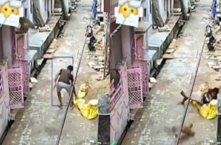 बंदर को मारने की कोशिश कर रहा था युवक, तभी कर दिया जानवर ने हमला, वीडियो में देखें फिर हुआ क्या