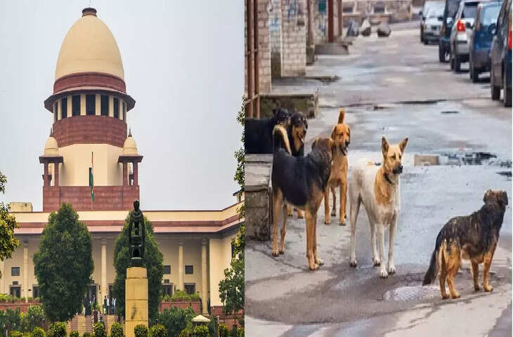 &ldquo;कुत्ता कब काट जाए, उसका मूड नहीं पकड़ सकते&hellip;&rdquo; सुनवाई के दौरान SC ने क्यों कही ये बात ? यहाँ पढ़े अहम बाते&nbsp;