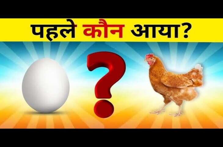 'पहले मुर्गी आई या अंडा....? वैज्ञानिकों ने खोज निकाला दुनिया के सबसे मुश्किल सवाल का जवाब, जाने क्या है&nbsp;साइंटिफिक आंसर ?