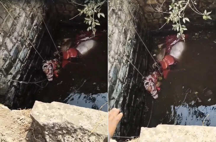 हाई वॉल्यूम डीजे ने बारात की घोड़ी को डराया, दूल्हा बाल-बाल बचा